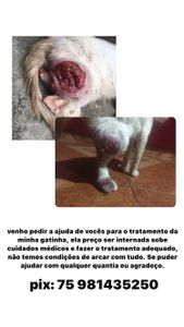 Vaquinha Online - AJUDE JADE A FAZER UM TRATAMENTO DE EMERGÊNCIA 