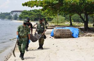 Ajude-nos a comprar uma Van para deslocamento de nossos voluntários  imagem 6