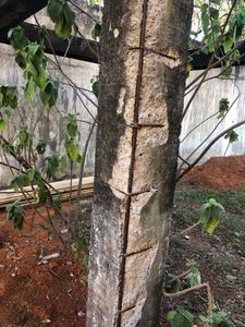 Caridade e Filantropia - Reforma das caixas d'agua - Abrigo Nosso Lar DF 