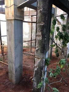 null - Reforma das caixas d'agua - Abrigo Nosso Lar DF 