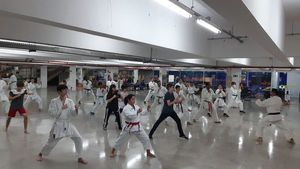 #projetobushidokarateshotokan-znsp imagem 8