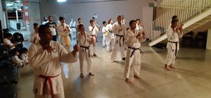 #projetobushidokarateshotokan-znsp imagem 7