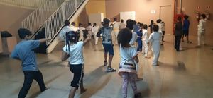 São Paulo/SP - #projetobushidokarateshotokan-znsp