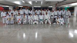 #projetobushidokarateshotokan-znsp imagem 6