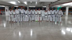 PROJETO KARATE BUSHIDO ( SP- ZN ) - #projetobushidokarateshotokan-znsp