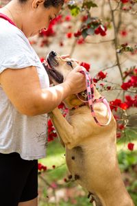 São Paulo/SP - Projeto Ajuda Animal - FMU