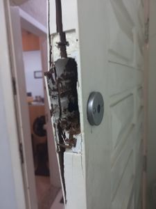 Vaquinha Equipamentos Roubados - Cantaleano Fotografia