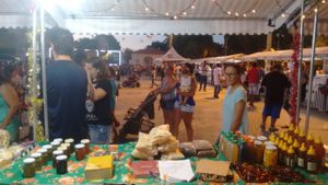 #REFORMA E AMPLIAÇÃO DA UNIDADE DE BENEFICIAMENTO DE FRUTOS DO CERRADO E DE QUINTAIS DA ASSUSBAC imagem 9