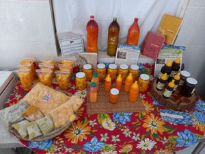 Vaquinha Online - #REFORMA E AMPLIAÇÃO DA UNIDADE DE BENEFICIAMENTO DE FRUTOS DO CERRADO E DE QUINTAIS DA ASSUSBAC