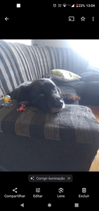 Vaquinha Online - Transporte do Ursinho 