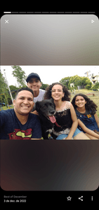 Transporte do Ursinho  imagem 6