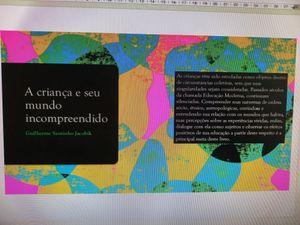 Vaquinha Online - Compreendendo as crianças 