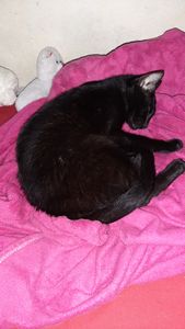 Vaquinha Online - Me ajude a pagar o tratamento para Infecção urinária 