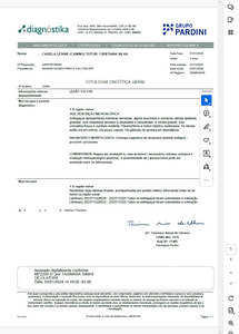 Ajude a Lessie - Tratamento contra câncer - Ajude a Lessie - Tratamento contra câncer