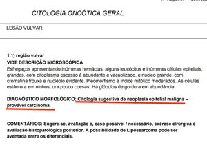 Animais - Ajude a Lessie - Tratamento contra câncer