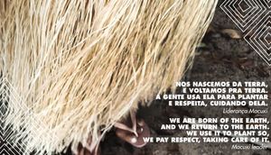 Financiamento Coletivo - Apoie Eu Sou Neta dos Antigos