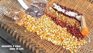 Cinema, Vídeos e TV - Apoie Eu Sou Neta dos Antigos