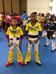 Cebolinha no mundial de kickboxing  imagem 10