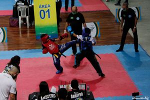 Esportes - Cebolinha no mundial de kickboxing 