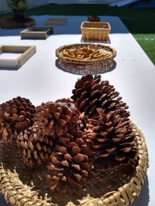 Ajude o quintal das Crianças - movimente o nosso Quintal imagem 6