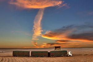 Seja investidor em uma operação de exportação de açucar imagem 7