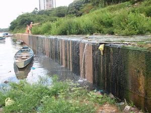 Meio ambiente - Salve o Rio Tocantins!
