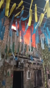 Ajuda para reforma da Lili - pós incêndio 