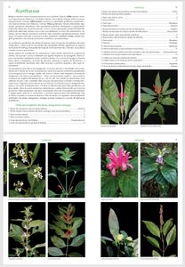 Guia das Plantas das Dunas e Restingas