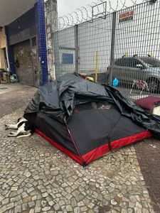 Thaciane e família - PROJETO ENCERRADO: Ajude Thaciane e seus cães a se manterem unidos – Contribua para o Lar Temporário!