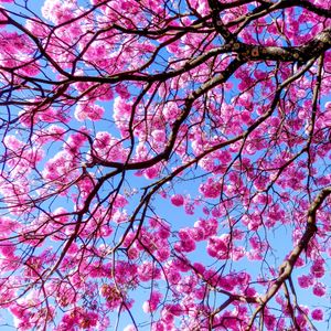 Arrecadação para Luminar imagem 6