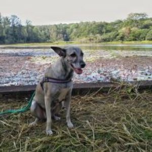 Vaquinha Online - ReComeço pra mim e pra Violeta 