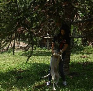 Rio Claro/SP - ReComeço pra mim e pra Violeta 