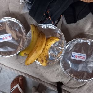 Vaquinha Online - Ração Para os Gatinhos