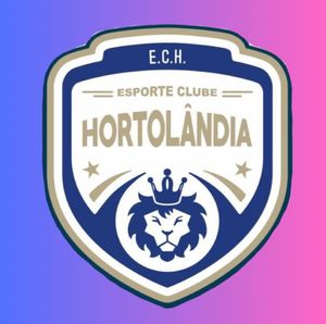 Apoie o futsal feminino! 