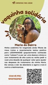 Vaquinha Online - Ajude Maria do Bairro a vencer a Leishmaniose Visceral Canina