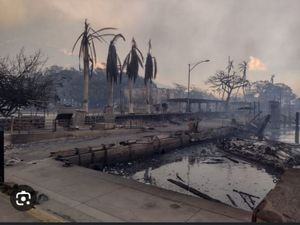 Família Brasileira Perde tudo no maior incêndio do Havaí imagem 10