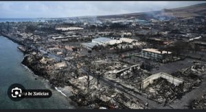 Família Brasileira Perde tudo no maior incêndio do Havaí imagem 9