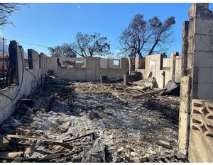 Vaquinha Online - Família Brasileira Perde tudo no maior incêndio do Havaí