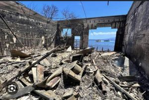 Família Brasileira Perde tudo no maior incêndio do Havaí imagem 8