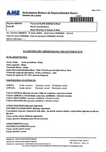 40 % Do Corção Necrosado - 40 % DO CORAÇÃO NECROSADO - PRECISO DE AJUDA