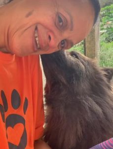 Um novo lar para mais de 70 animais resgatados - NÃO DEIXE QUE MAIS DE 70 ANIMAIS VÃO PARA A RUA