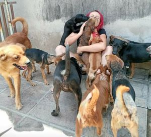 Vaquinha Online - AJUDE OS NOSSOS ANJINHOS DE QUATRO PATAS