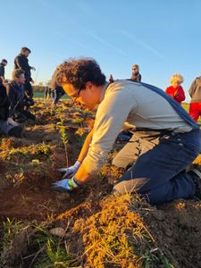 Música - CLIPE-DOCUMENTÁRIO "MEDICINA" 🌿✨