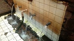 Americana/SP - Criação de Ong de proteção ambiental das nascentes de Americana