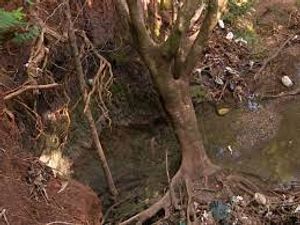 Criação de Ong de proteção ambiental das nascentes de Americana imagem 6