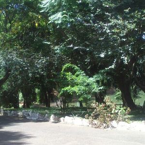 Vaquinha Online - Criação de Ong de proteção ambiental das nascentes de Americana