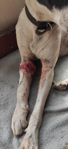 Vaquinha Online - Vamos Ajudar o Mustafa 