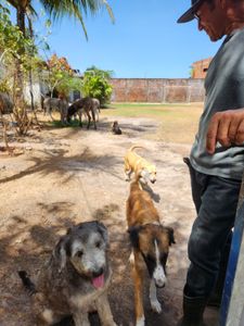 Mudança Turma do Chico SLZ imagem 8