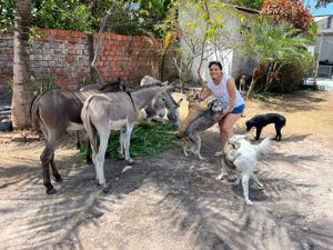 Mudança Turma do Chico SLZ imagem 9