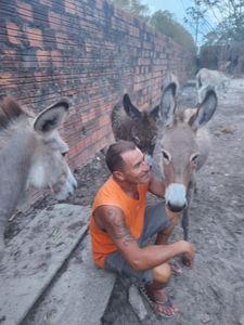 Mudança Turma do Chico SLZ imagem 7